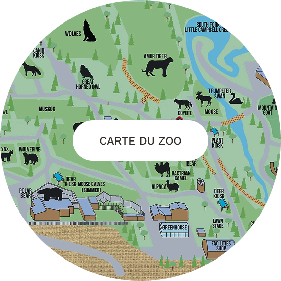 carte du zoo