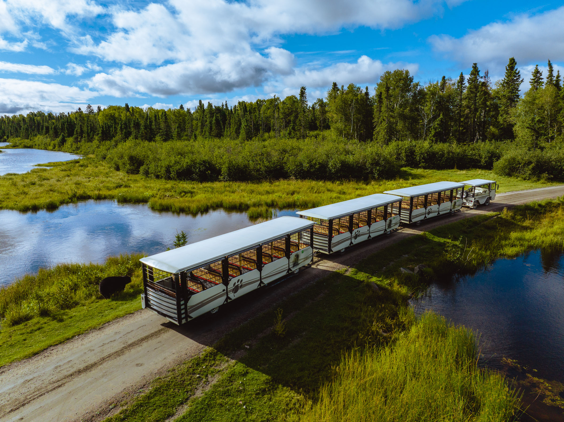 train en été dans la nature